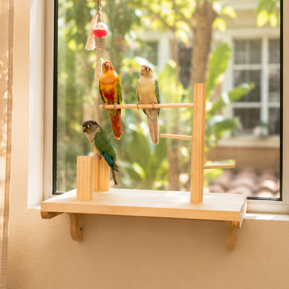 Adjustable Window Bird Perch Stand
