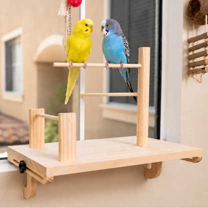 Adjustable Window Bird Perch Stand