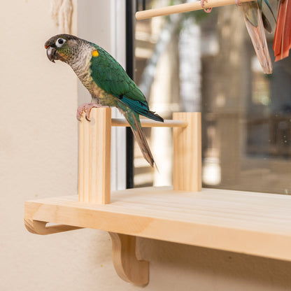Adjustable Window Bird Perch Stand